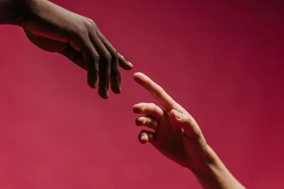 Casino Wild Vegas Supporto